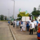Tüntetés a Hankooknál