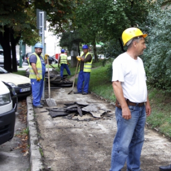 Bartók Béla utca járda felújítás