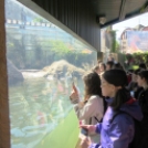 Hónap diákjai az állatkertben
