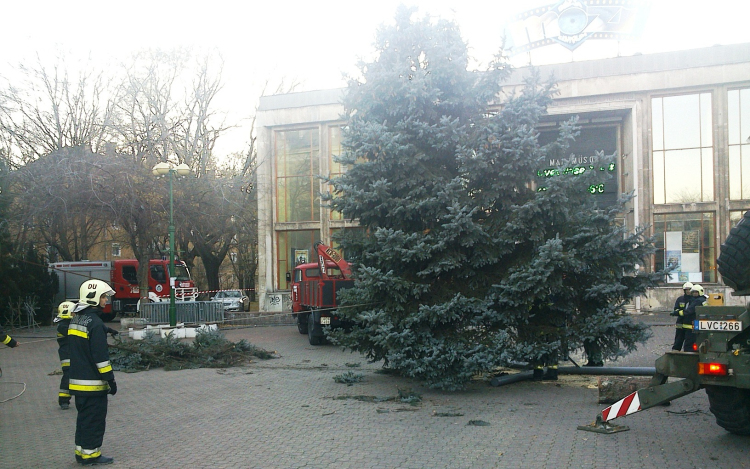 Középiskolások figyelem!  Díszítsétek fel a város fáját!