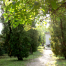 Városalapítók és a római katonai tábor