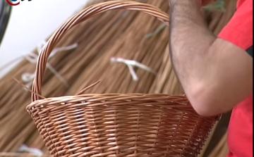 Kosárfonónak tanultak- DSTV videóval