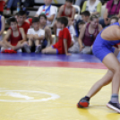 Gurics György birkózó emlék verseny