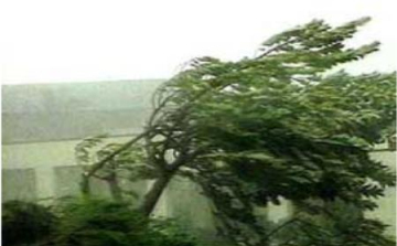 Tetőt tépett a szél