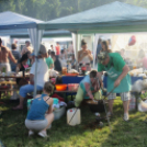 Parázs-varázs 2016