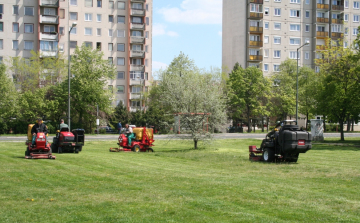 Parkok, erdők ősszel