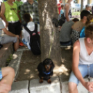 Nyolcadikos diákok bolondballagása