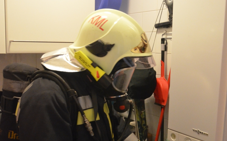 Életmentő lakótárs a bajban