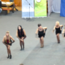 Pályaválasztás 2013