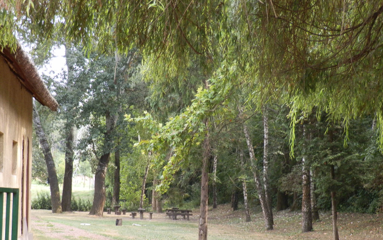 Európai Mobilitási Hét