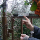 Rendőrkézen a fosztogató