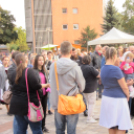 Pazar időben színes programok Szent Mihály napján