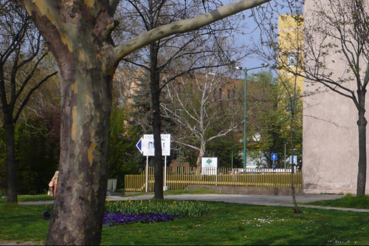 Ingyenes szűrés mindenkinek