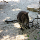 Hónap diákjai az állatkertben