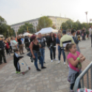 Pazar időben színes programok Szent Mihály napján