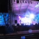 Dunaújvárosi Egyetem