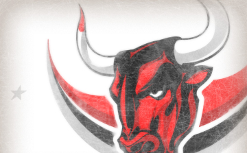 Hardi Márton holnaptól a Bikákkal készül!