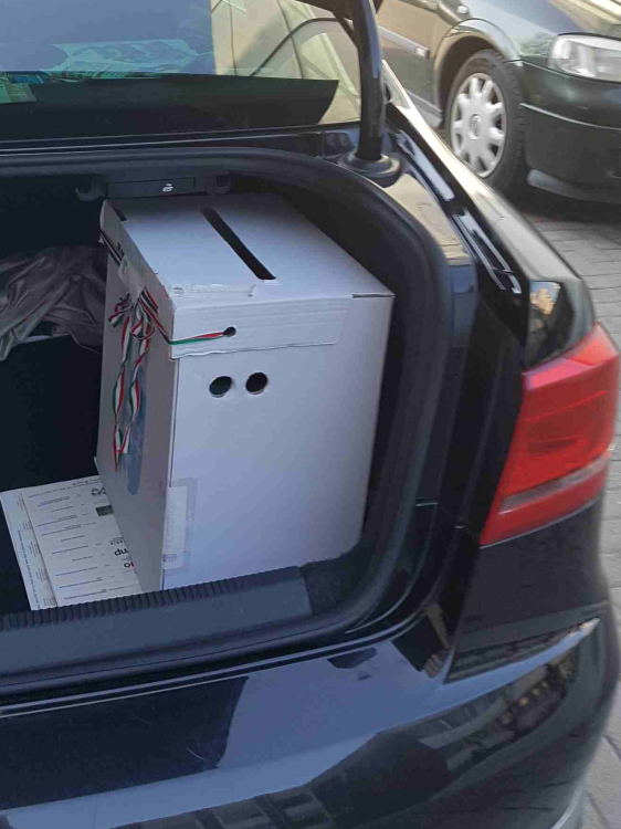 Pintér Tamás győzelme és más  vereségek