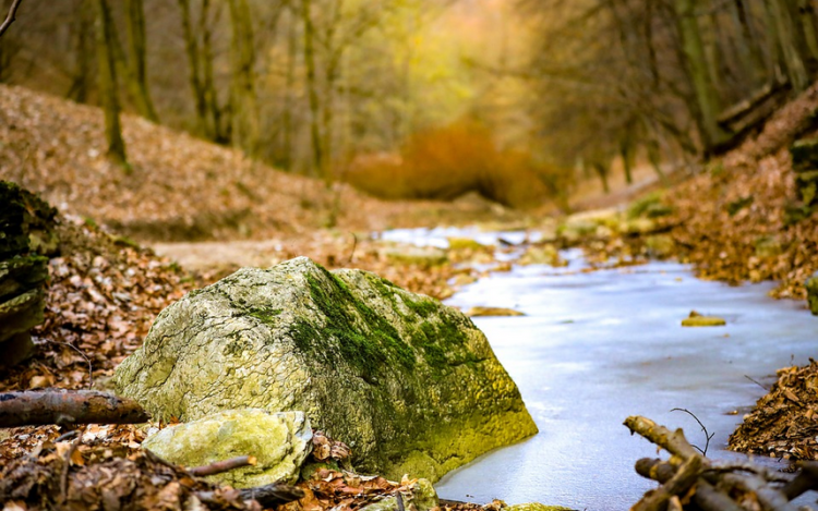 A Dunántúli-dombság felfedezése: szállások, csendes pihenés és aktív kikapcsolódás hazánk egyik legszebb vidékén