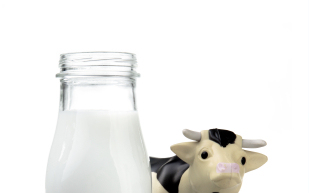 Veszélyben a magyar tej!