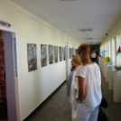 Új múzeum nyílt a városban