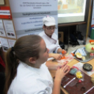 Pályaválasztási kiállítás