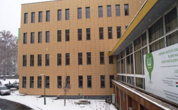  Dr. Schrobar Hajnalka az Astellás díj ünnepén