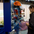 Pályaválasztás 2013