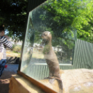 Hónap diákjai az állatkertben