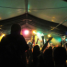 A hulláktól a pandán át a Biohazardig