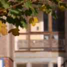 Túszdráma a Szórádon