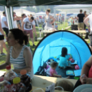 Parázs-varázs 2016