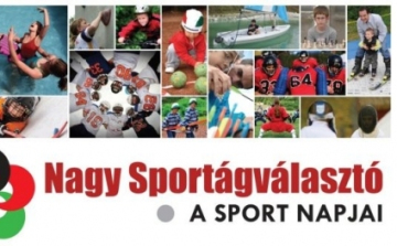 VII. Nagy Sportágválasztó