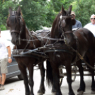 II. Lovagi – testőr családi piknik