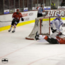 Dunaújvárosi Acélbikák 