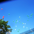 Ovifoci- pályaavató