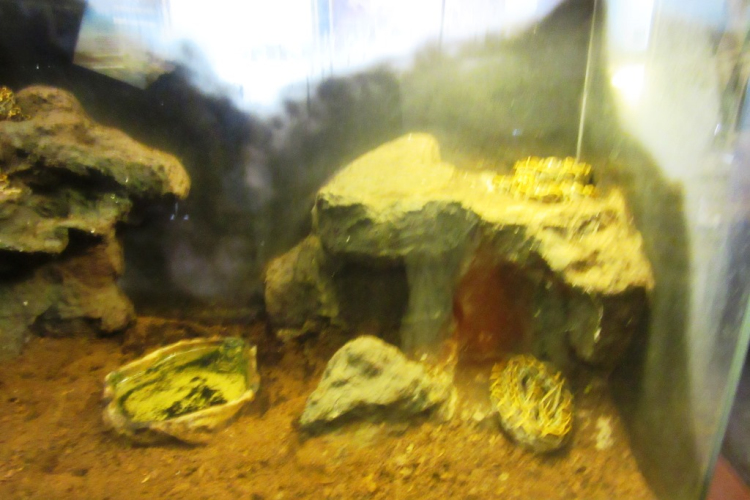 Hónap diákjai az állatkertben