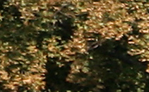 Forgalmi rend változás!