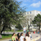 Tehetség nap - képekben