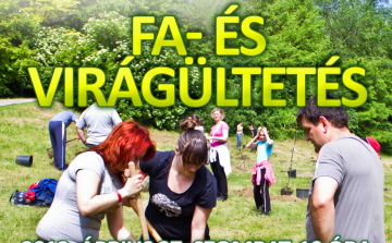 Ha szombat, faültetés...