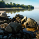 Képeket vegyenek az Arany iskoláért!