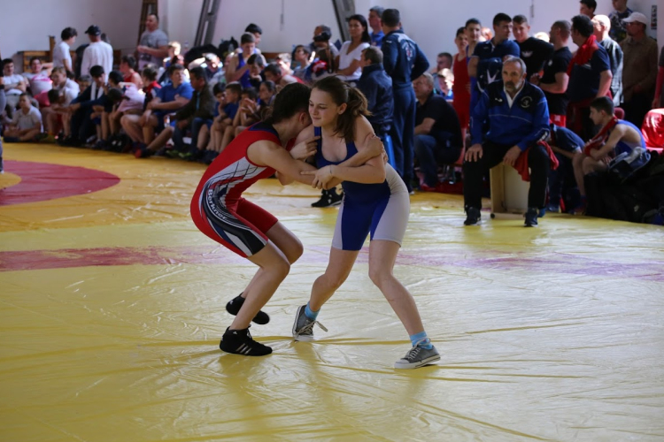 Birkózó eredmények