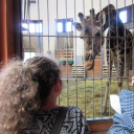 Hónap diákjai az állatkertben