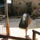 Hónap diákjai az állatkertben