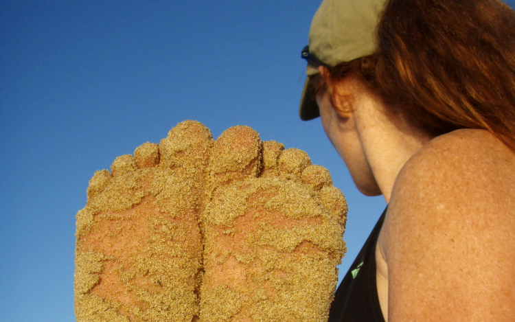 Tablóverseny - egy egész osztály bulizhat 3 napon keresztül a Balatonon