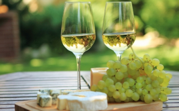 Hegyközségek: a kisüzemi státus hatezer bortermelő terheit csökkenti