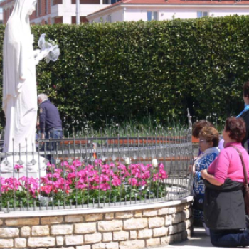  Dunaújvárosi zarándokok