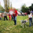 Parázs-varázs képekben