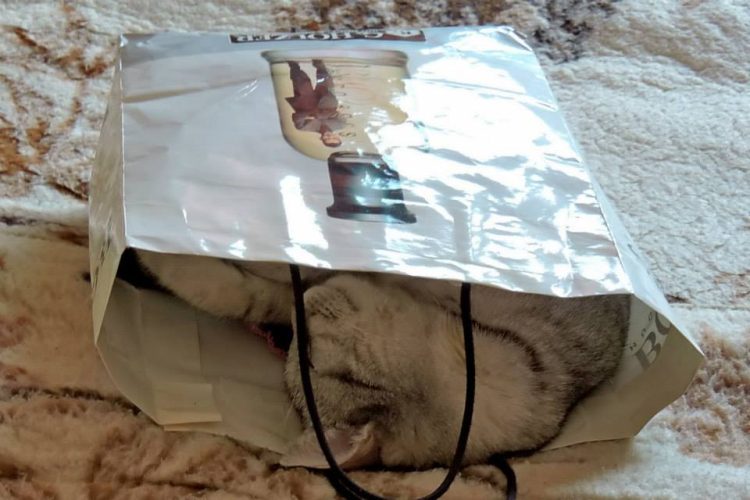 Képeket vegyenek az Arany iskoláért!