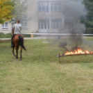 Városalapítók családbarát napja